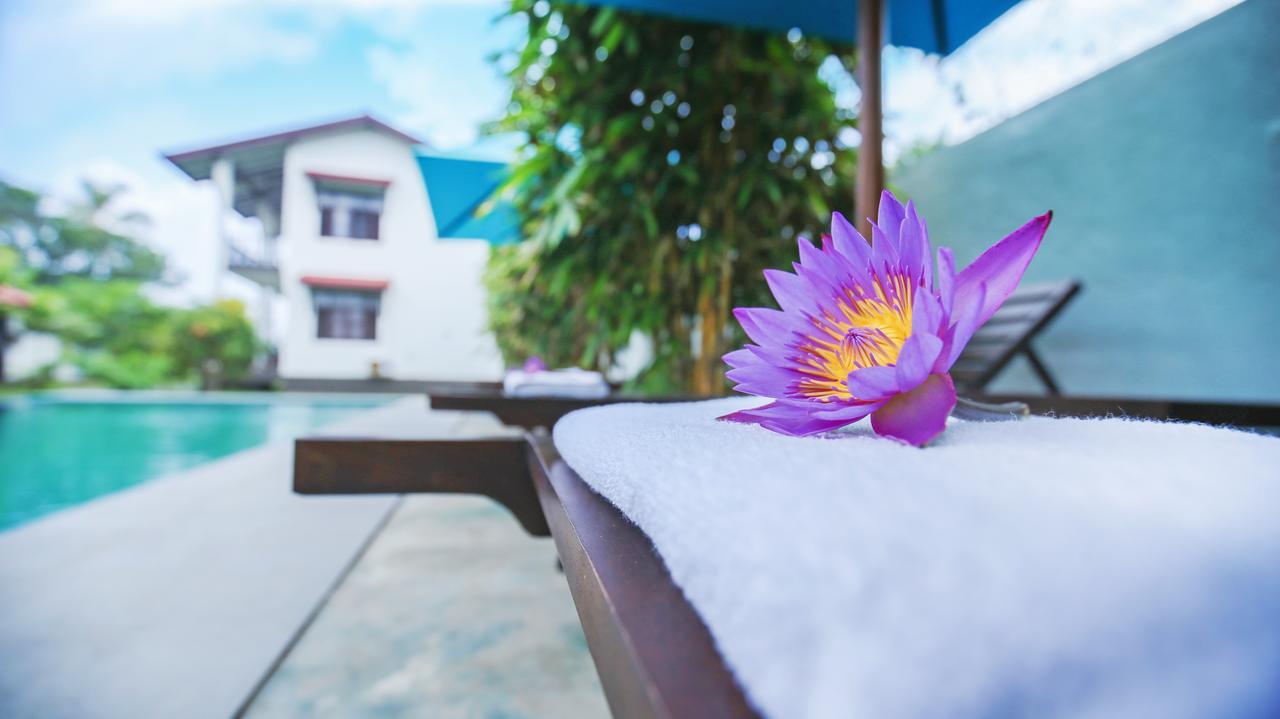 Kaminrich Cottage Matara Exterior photo